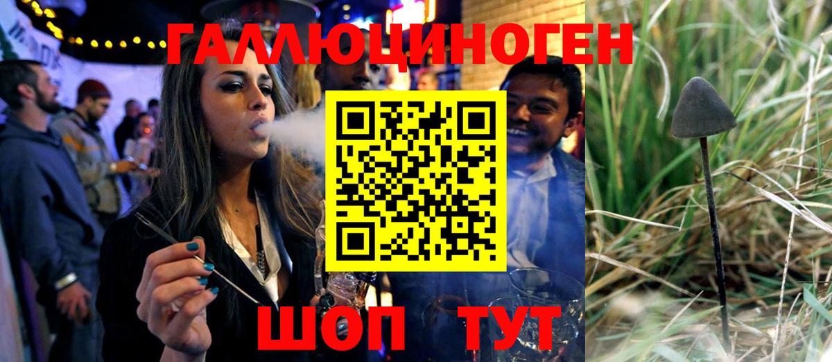 где можно купить наркотик  Галлюциногенные грибы Cubensis  Вход с VPN  Карачаевск 